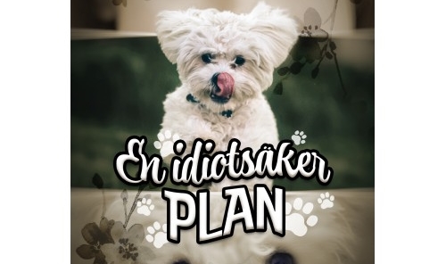 Boktips en idiotsäker plan