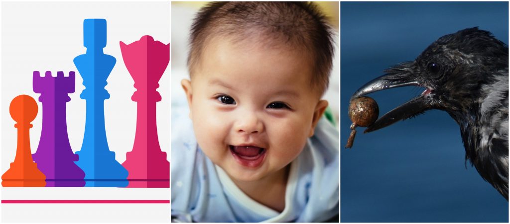 Collage på veckans nyheter