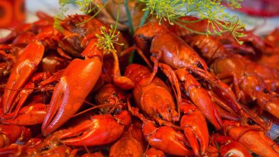 Kräftor på ett fat.