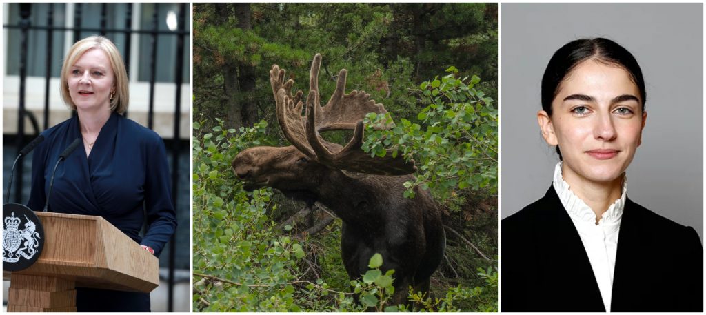 Kollage på veckans nyheter