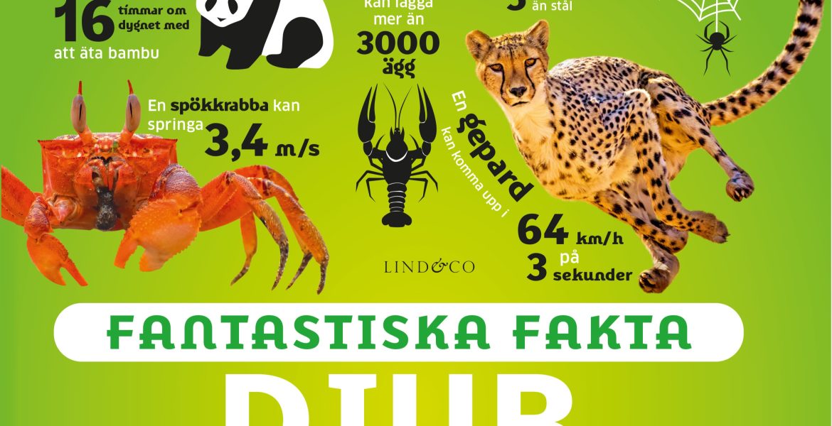 Boktips: Djur: Siffror, listor och statistik